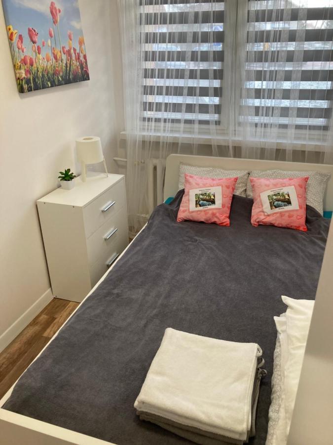 Mietowy Zakatek Apartment Kłodzko Dış mekan fotoğraf